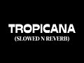 Gloxiniarr  tropicana slowed n reverb prod gloxiniarr