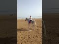 конная прогулка 2