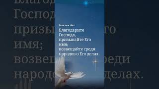 🙏🕊️❤️🔥Благодарите Господа #бог #иисусхристос #любовь #библияговорит #спасение_души