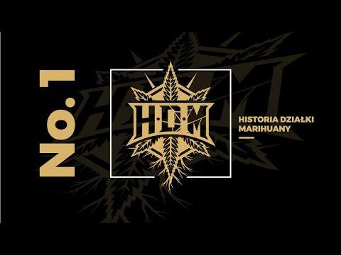 HDM - WJEŻDŻAM NA (BEAT) prod.ŚwiruTwT