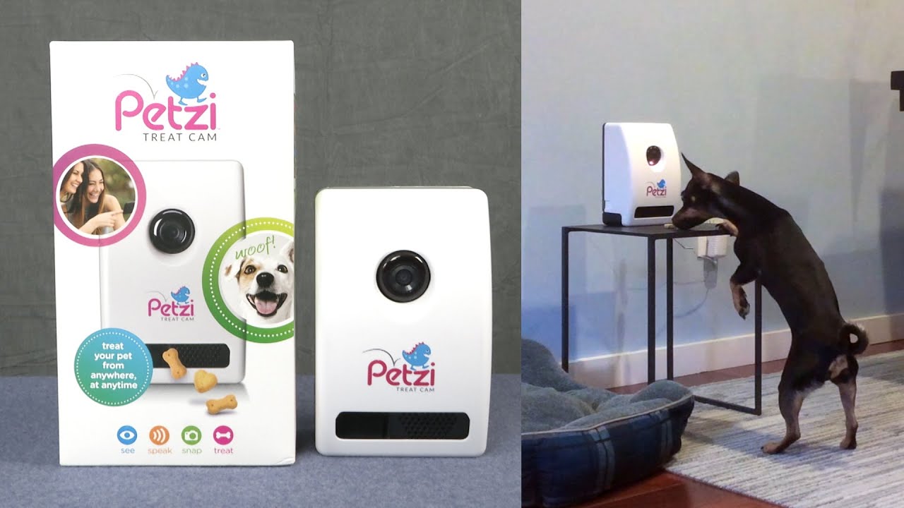 Petzi Treat Cam from Petzila - YouTube