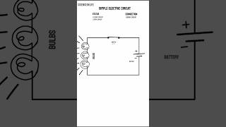 ELECTRIC CIRCUIT #education #youtubeshorts