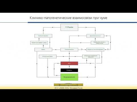 Современное представление о клинике,диагностике,лечении чумы. Вопросы организации медицинской помощи