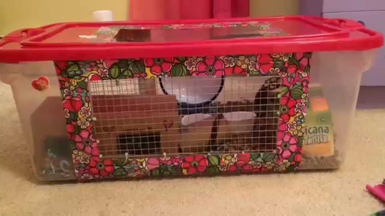 cool hamster cages diy