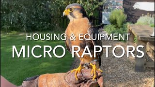 FALCONRY: Micro Raptors; housing and furniture screenshot 5