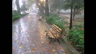 Rain... Rain... Sergey Grischuk / С. Грищук - А дождь всё льёт...