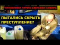 🔥 ЧИНОВНИКИ ПОДЖИГАЛИ ЛЕС В СИБИРИ - Поймали - Усть Кутские, Иркутские скрывали вырубку леса