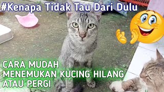 KUCING ANDA HILANG ❓❓❓ Ini Cara Mudah Untuk Membuat nya Kembali