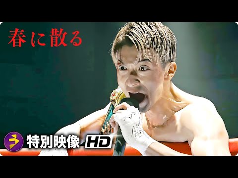 佐藤浩市×横浜流星主演！映画『春に散る』特別映像（トレーニング）