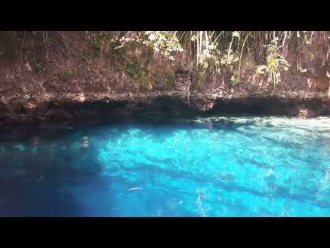 Wideo: Szafirowa Zaczarowana Rzeka Hinatuan Na Filipinach Oszałamia