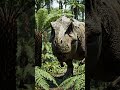 why dinosuars died #amnewbutnottheleast