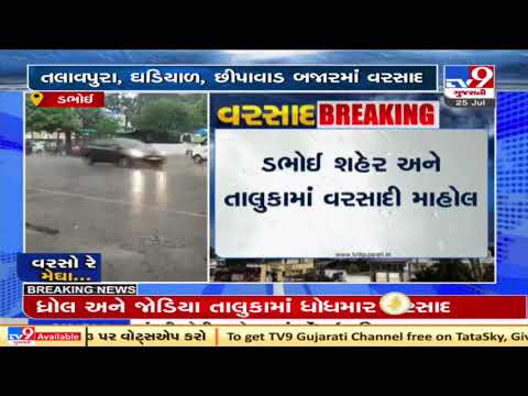 Respite from heat as Dabhoi witnesses rainfall | TV9News