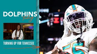 Week 17 Preview | Dolphins Today