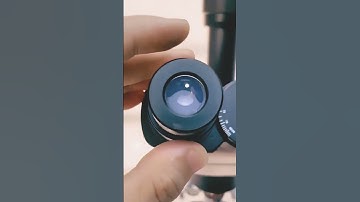 Rain water test in microscope #microscope #shorts