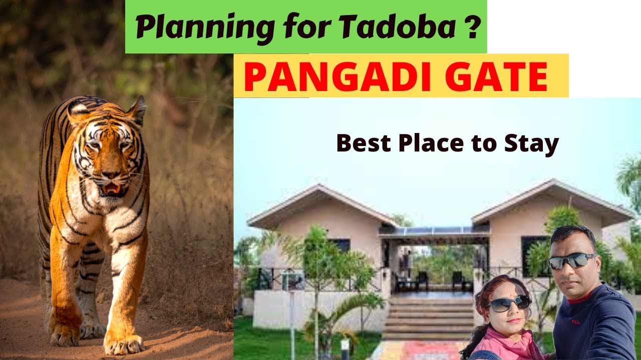 Tadoba s Best Hotel Resort Near Pangadi Core Safari Gate Footprint tadoba-s-best-hotel-resort-near-pangadi-core-safari-gate-footprint