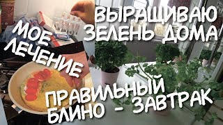 ВЛОГ: Супер ПП ЗАВТРАК на скорую руку 👍 Я на УКОЛАХ 💉 Центральный Детский Магазин РАЗВОД НА ДЕНЬГИ ВЛОГ: Супер ПП ЗАВТРАК на скорую руку 👍 Я на УКОЛАХ 💉 Центральный Детский Магазин РАЗВОД НА ДЕНЬГИ