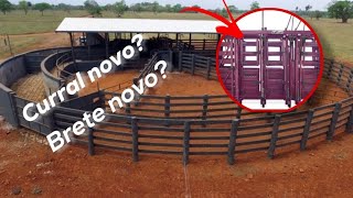 Agora quero ver o Gado dar trabalho pra vacinar 🐂💫🙌🙏 Curral Novo! #fazenda #agro #roça #gado #cavalo