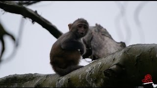 Waiting for Mum - A Jittery Kid