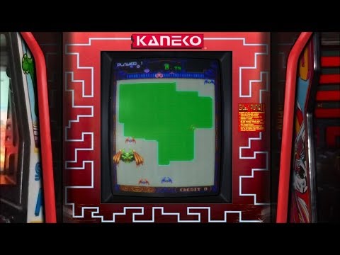 Gals Panic II - Realistic Arcade Bezels for MAME