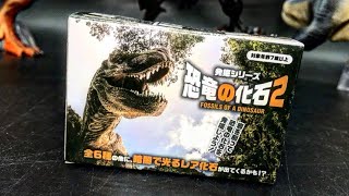 【恐竜】暗闇で光るレア恐竜を狙え！発掘シリーズ恐竜の化石２開封レビュー【ティラノサウルス】