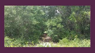 204 RIDGE RD SATSUMA, FL 32189