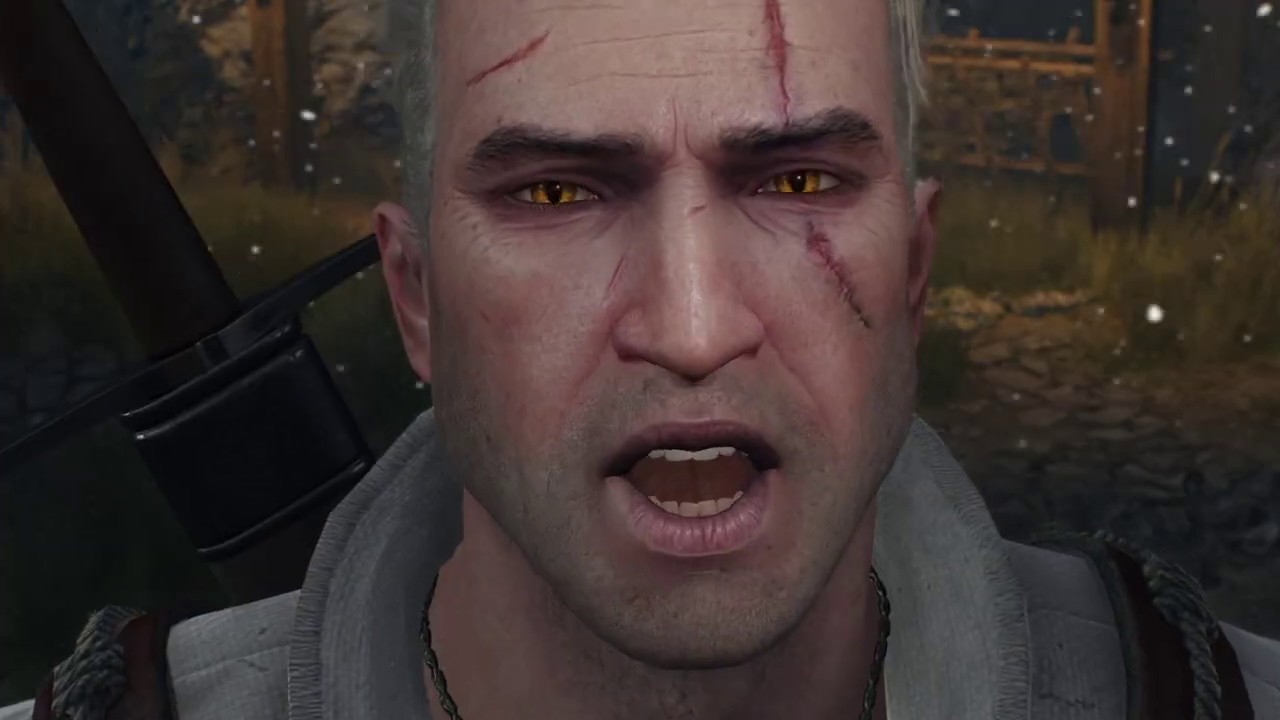 Diferencia Entre Brujo Y Mago The Witcher