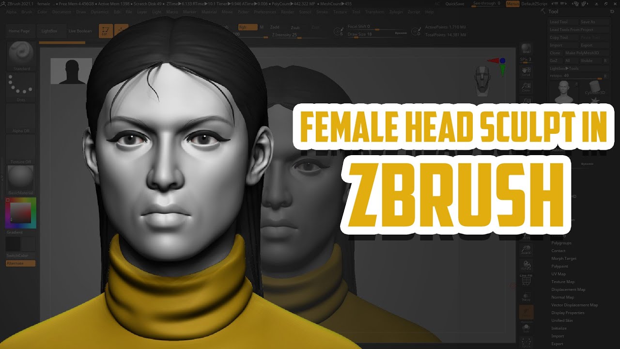 female Head Sculpting with Dynamesh in Zbrush - YouTube