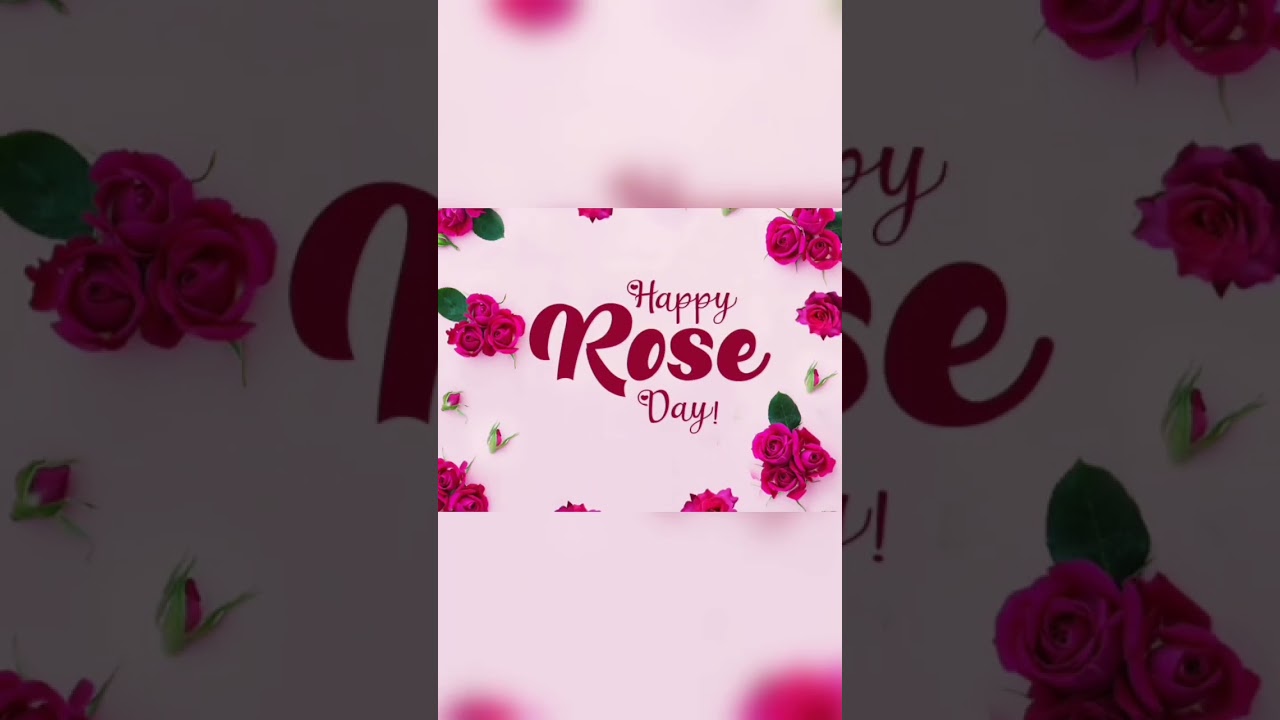 7 Feb Rose Day status 2023 || Happy Rose Day Whatsapp Status || Rose Day 2023 status | Valentine