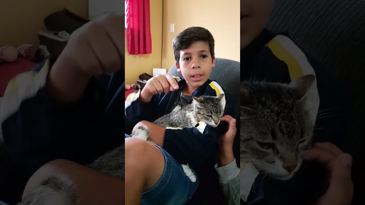 Escutou o MIADO ? 🤔🙀