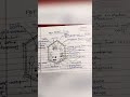 #shorts #biology #class12thbiologypaper