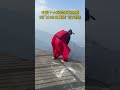 Daily Wingsuit Flight Mastery: Join Zhang Shupeng's Sky Adventure