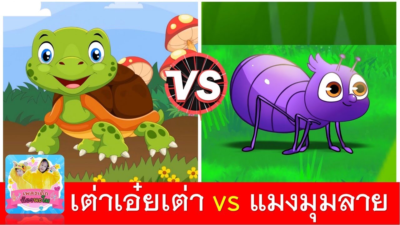 เต่าเอ๋ยเต่า vs แมงมุมลาย | เพลงเต่า | เพลงแมงมุม 2 ภาษา