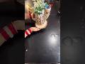 How to DIY golden luxury vase with plastic spoons #Ginna'sHeartcraft  #diy #craft #shorts #trending