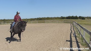 Athena Black Cat - working the flag! - ValleyViewRanch.net