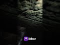 A GENTE já sabe! #shorts #residentevil7 #re7 #capcom #mia #etan #residentevil #re #hoje