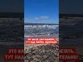 Дарлово, Польша | Коммунальные службы чистят море от водорослей