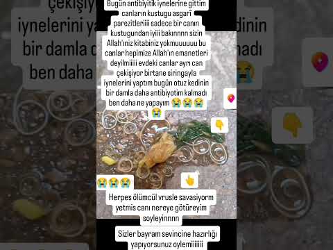 hicmi yureginiz yanmıyor bugün iynelerine gittim sadece bir canın kustugu parezitler nlr destk 😭😭😭😭