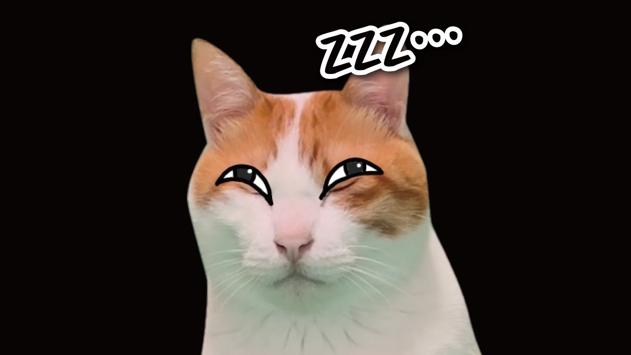 He's definitely asleep, right? #Manzai #Skits #CatAnime - YouTube