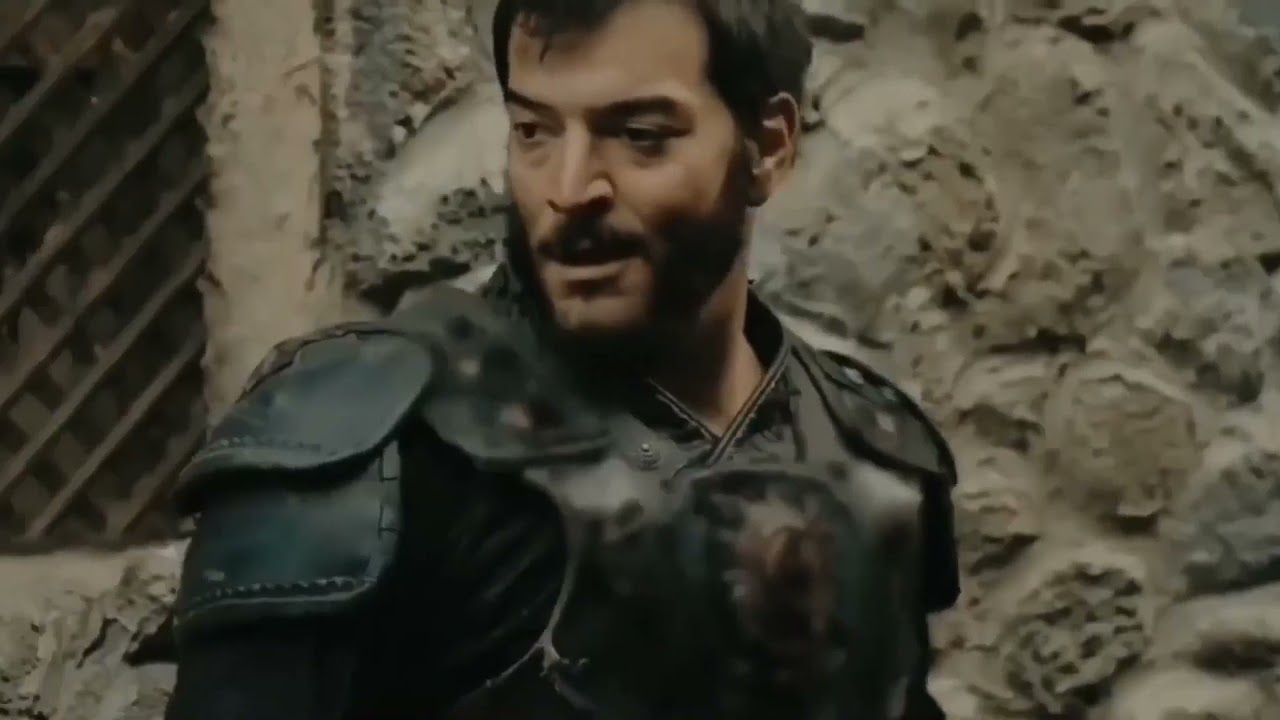 Чагры шенсой. Чагры Шенсой CERKUTAY.