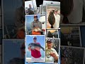 The Fisherman 2026 Dream Boat Challenge