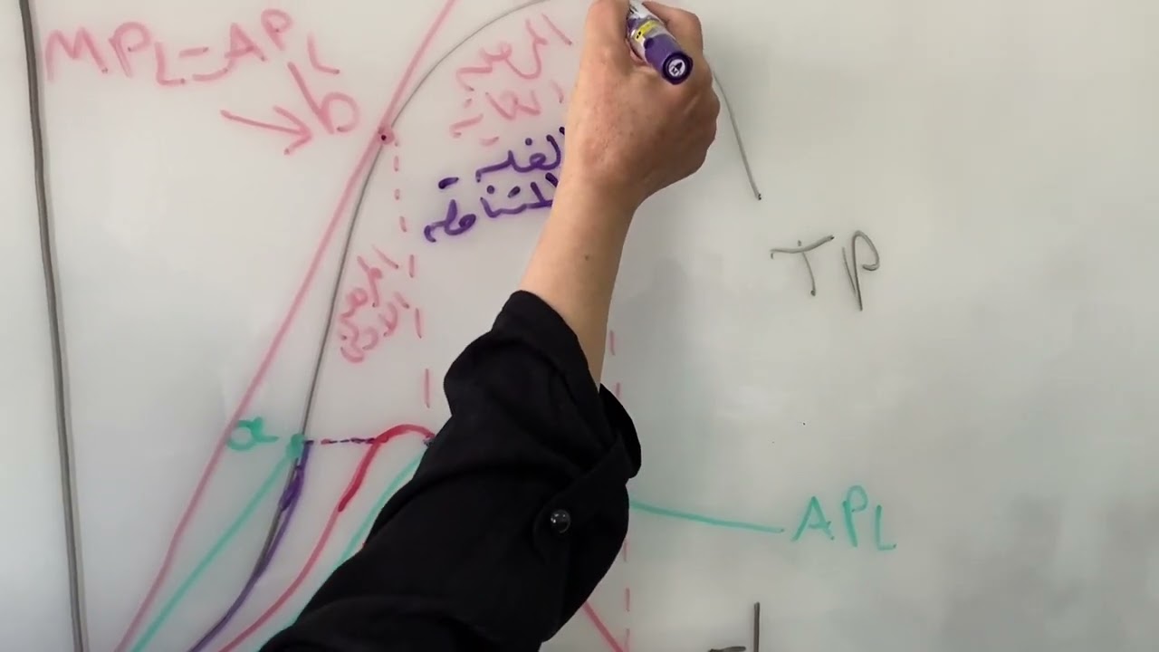 مراحل الانتاج