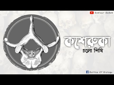 ভিডিও: জরায়ুর কশেরুকা কয়টি?