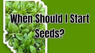 When Should I Start Seeds?