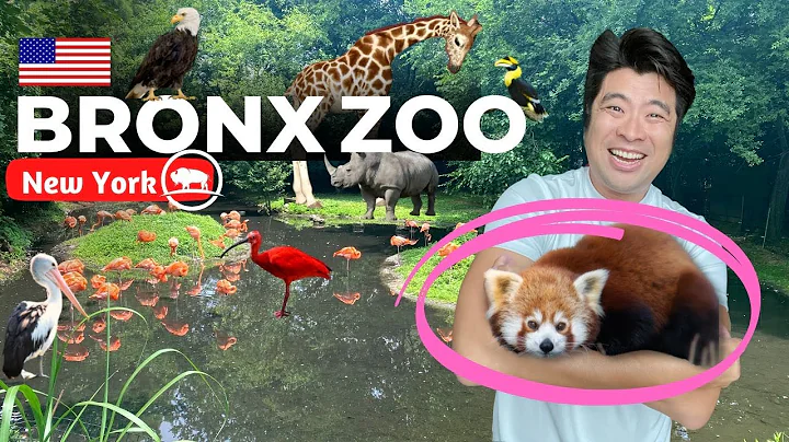 Bronx Zoo FULL TOUR : A true hidden gem of New Yor...