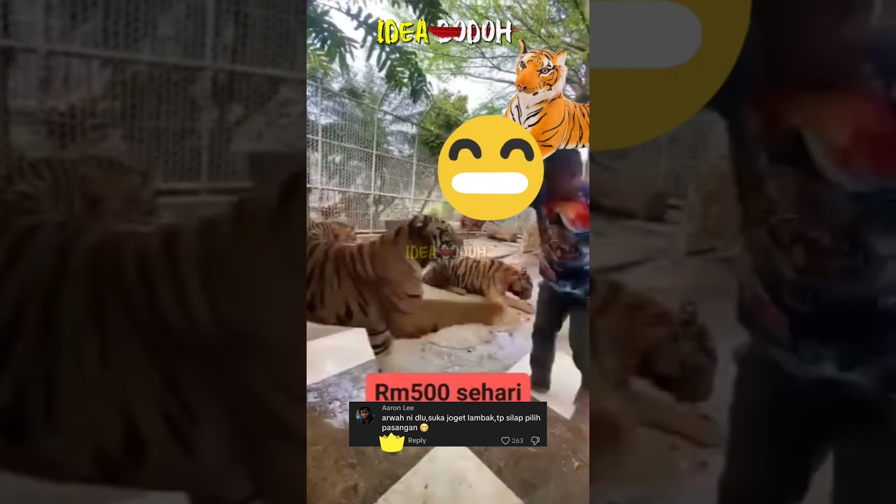 GAJI SEHARI RM500 "TEMAN HARIMAU MAIN DEKAT ZOO"