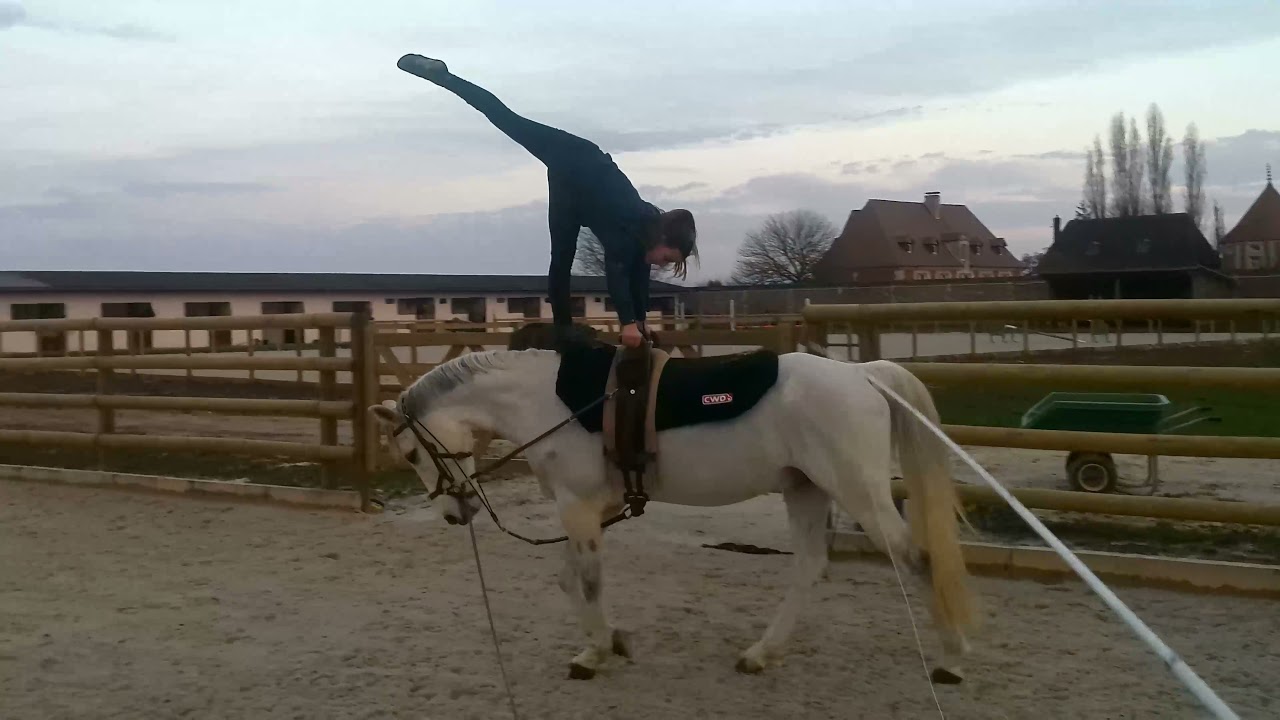 exemples figures de libre à 1 voltigeur