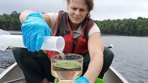 Sara Sommer puts lake water through chlorophyll sampling device
