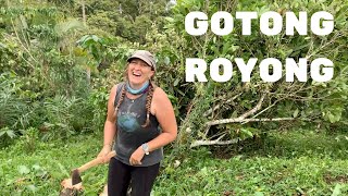 015 Gotong Royong - My Mountain Family Help Me To Make Space For Some Vegetable Gardens