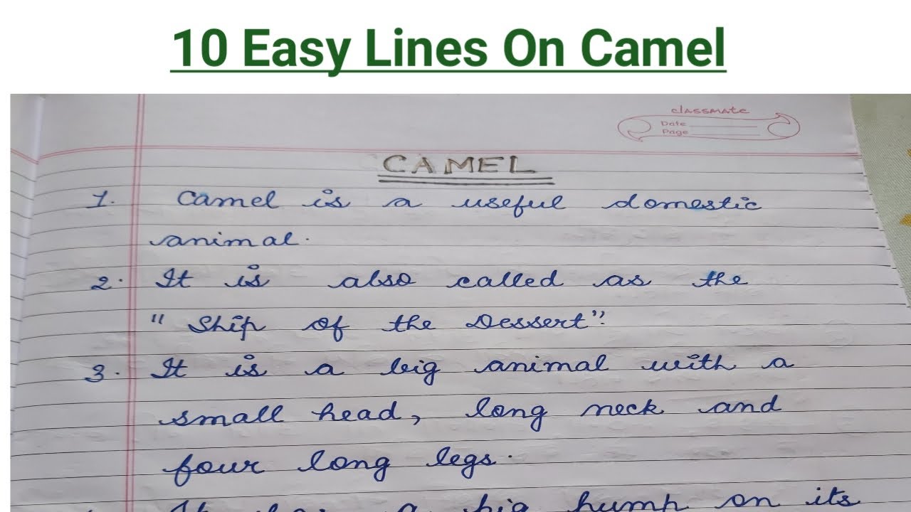 short essay on camel for class 8