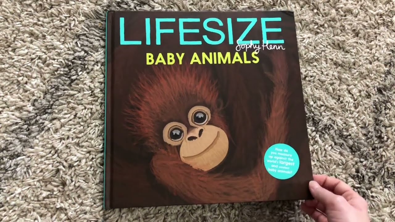 Usborne Books & More Lifesize Baby Animals YouTube